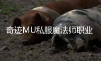 奇迹MU私服魔法师职业介绍
